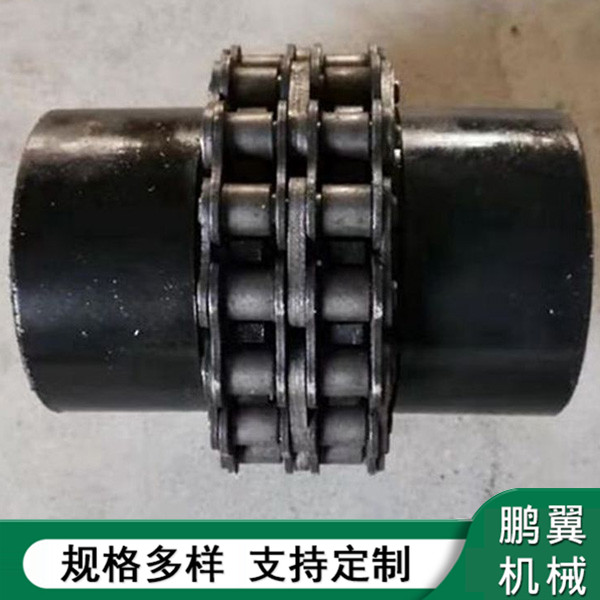  浙江滾子鏈聯(lián)軸器