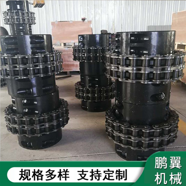 浙江加緊式鏈條聯軸器