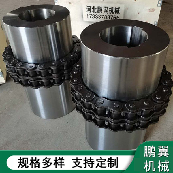 江蘇鏈條聯(lián)軸器