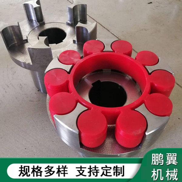  浙江5爪ML梅花聯軸器